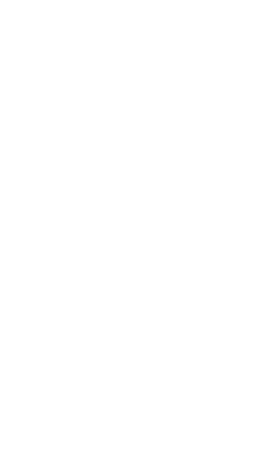 DanDara